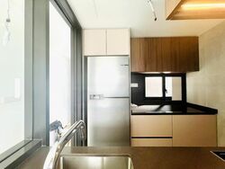 Irwell Hill Residences (D9), Apartment #458602931